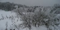 2010 Silvester