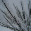 2010 Silvester